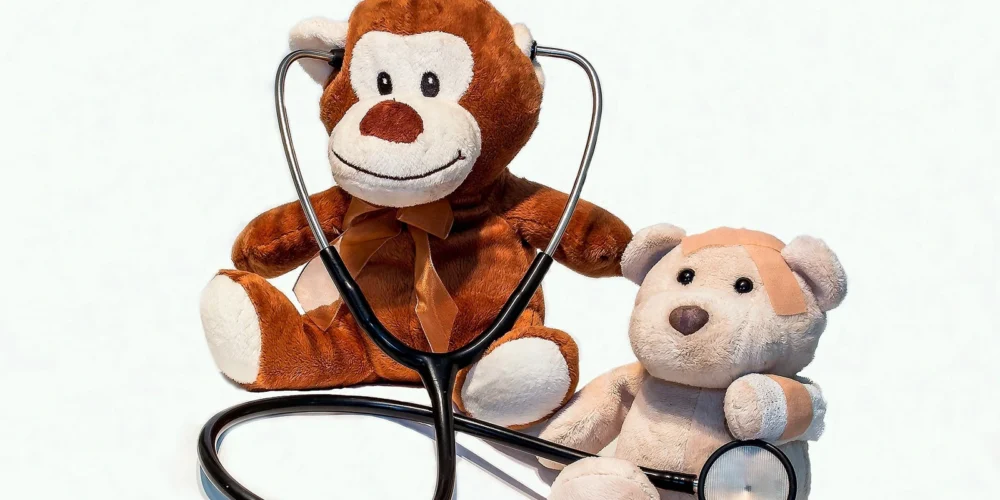 teddys